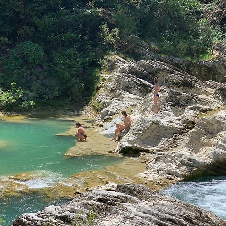 La Forestale Luxury Ecolodge - La Suite Royale Acqualagna Eksteriør billede
